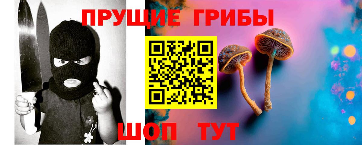 Псилоцибиновые грибы Cubensis  Вход с VPN  Ставрополь 