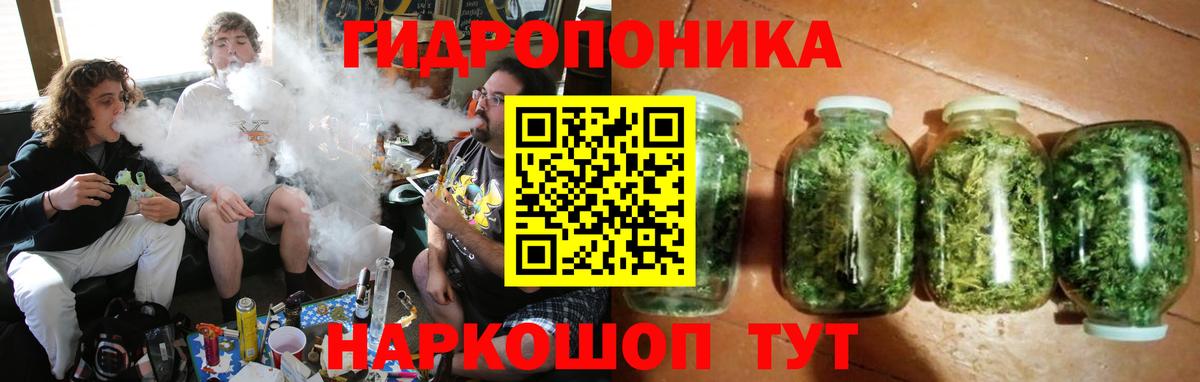 Марихуана планчик  Каннабис ГИДРОПОН  Ставрополь  Конопля конопля  Бошки Шишки ГИДРОПОН  Вход с VPN 